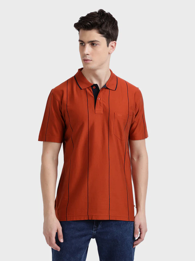 Colorplus Men Orange Stripe Classic Fit Half Sleeve Polo Neck T-Shirt