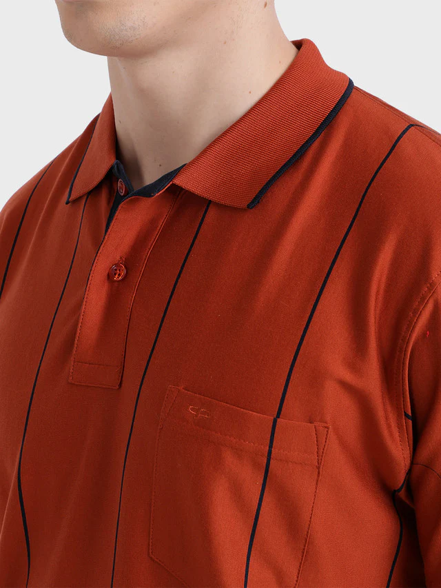 Colorplus Men Orange Stripe Classic Fit Half Sleeve Polo Neck T-Shirt - Image 6
