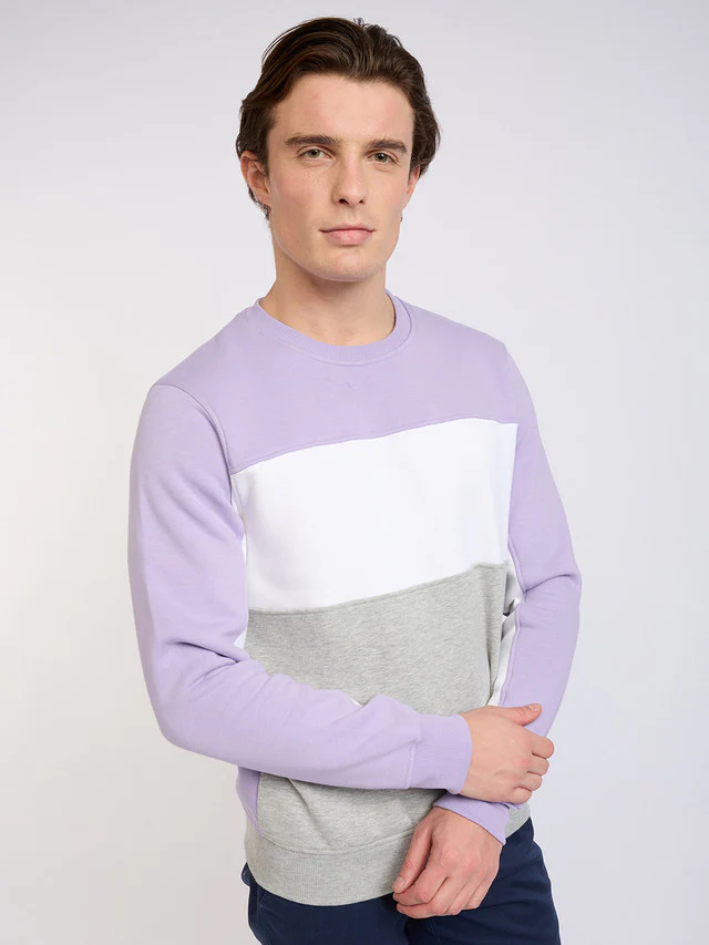 Colorplus Men Purple Solid Regular Fit Cotton Blend Sweatshirt - Image 2