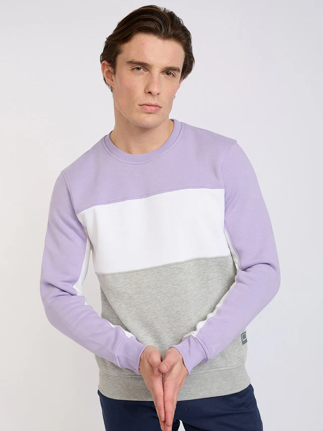 Colorplus Men Purple Solid Regular Fit Cotton Blend Sweatshirt - Image 3