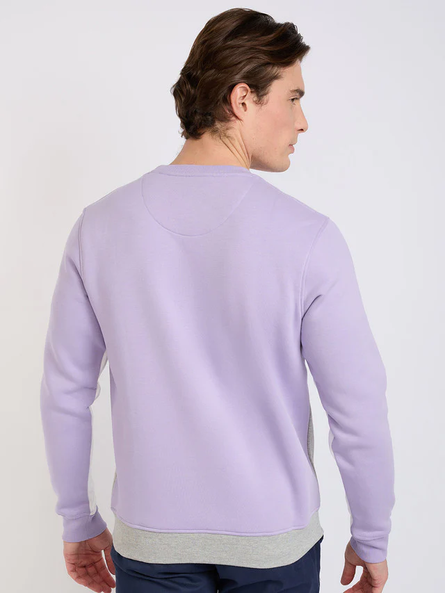 Colorplus Men Purple Solid Regular Fit Cotton Blend Sweatshirt - Image 4