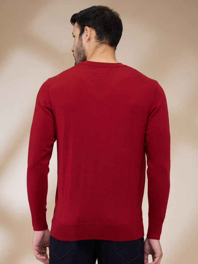Colorplus Men Red Plain Regular Fit Wool Blend Sweater - Image 4