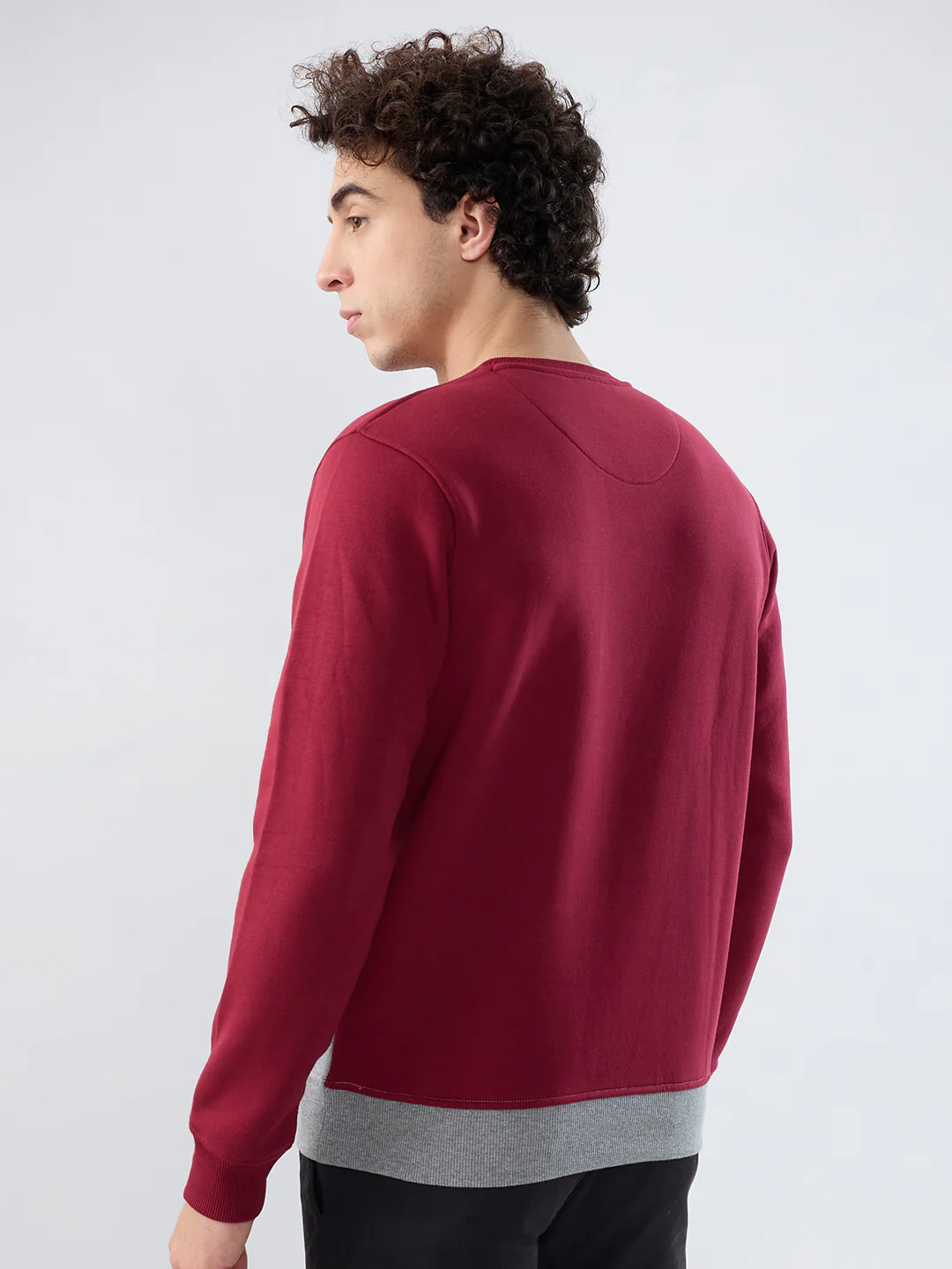 Colorplus Men Red Solid Regular Fit Cotton Blend Sweatshirt - Image 4