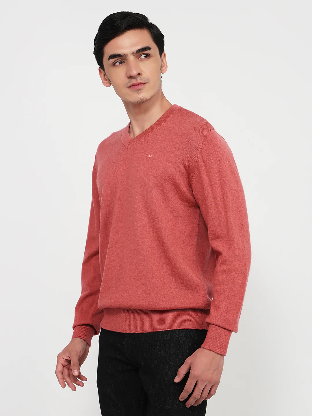Colorplus Men Red Solid Regular Fit Merino Blend Sweatshirt - Image 2