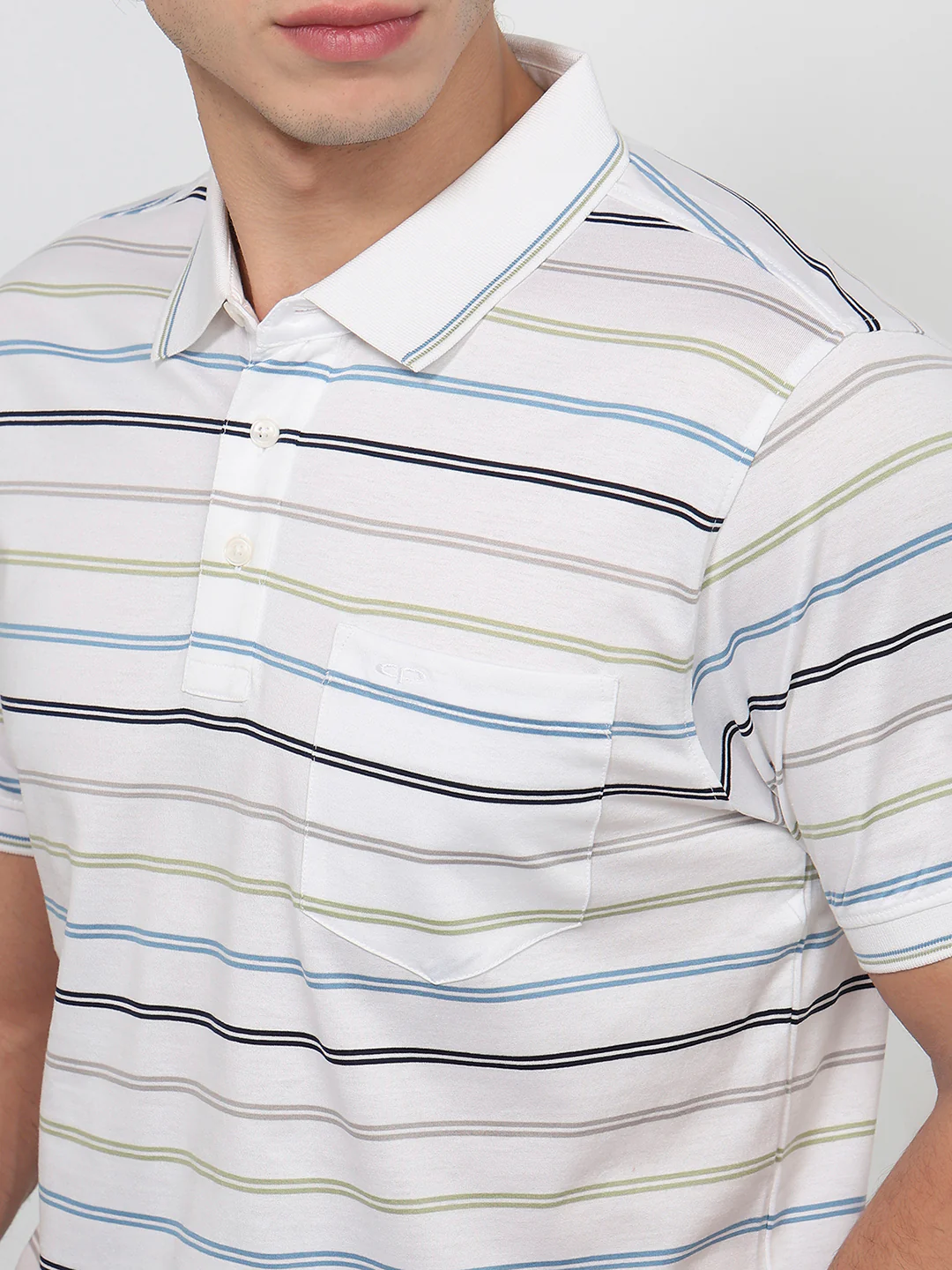 Colorplus Men Regular Fit Stripe Pattern Pure Cotton Half Sleeve T-Shirt - Image 6