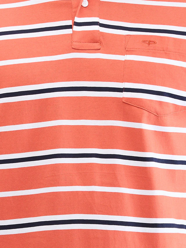 Colorplus Orange Stripe Classic Fit Cotton T-Shirt - Image 6