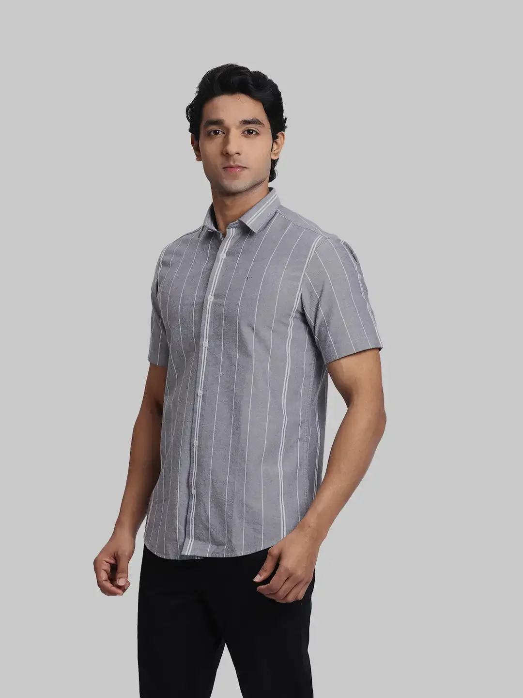 ColorPlus Regular Fit Striped Dark Grey Shirt - Image 3