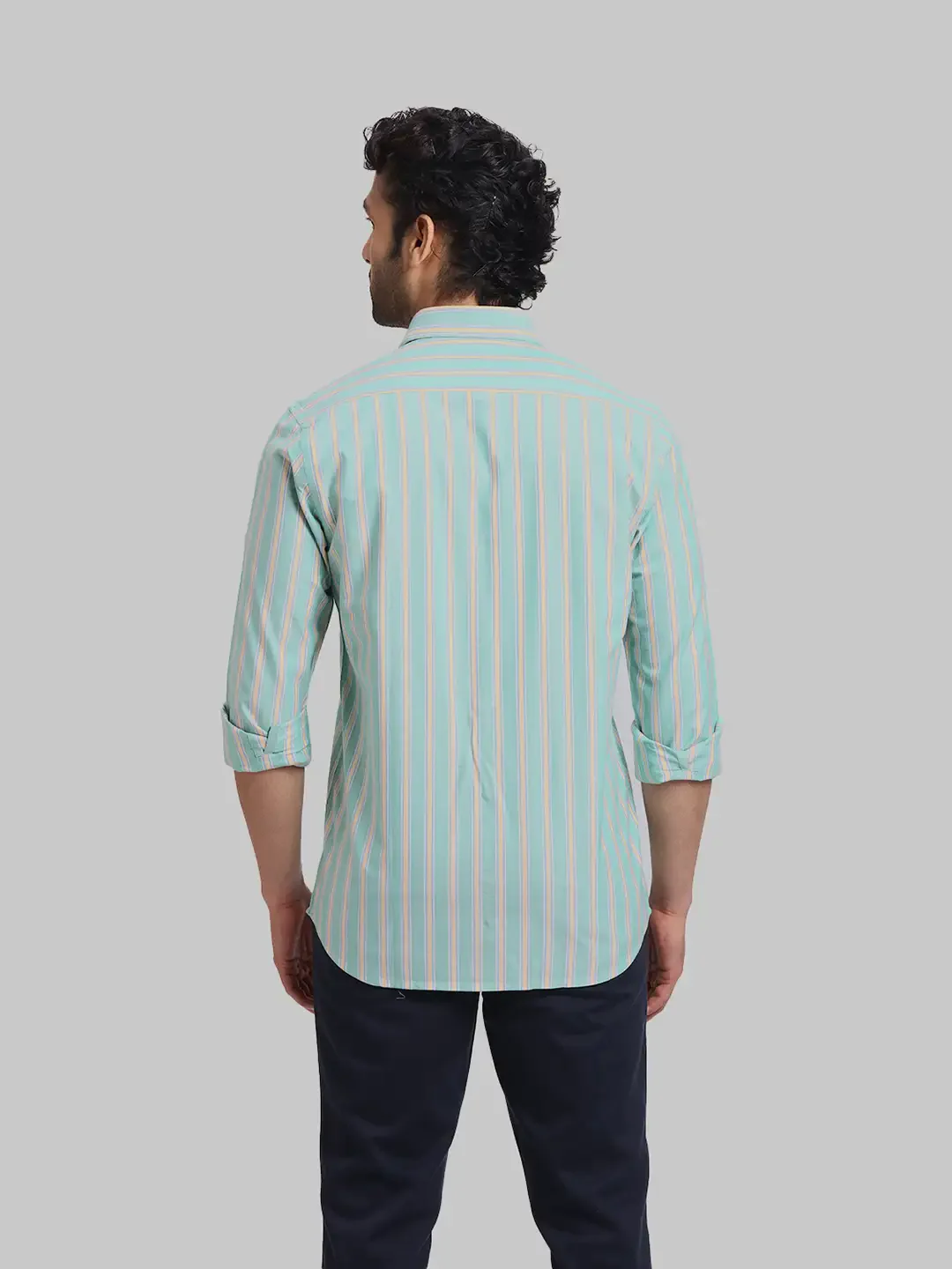 ColorPlus Regular Fit Striped Medium Green Shirt - Image 4