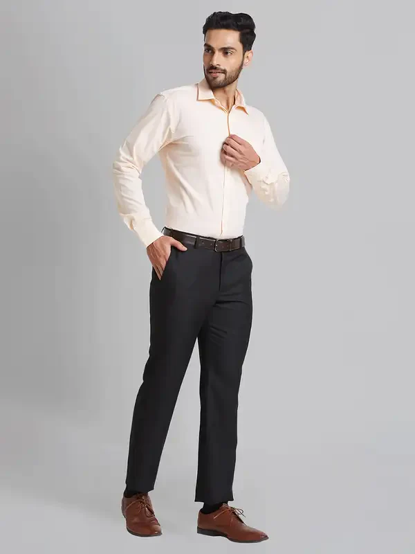 Park Avenue Men Black Smart Fit Checks Polyester Blend Trouser - Image 6