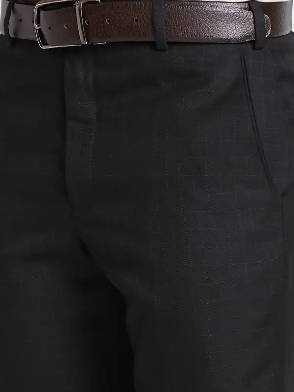 Park Avenue Men Black Smart Fit Checks Polyester Blend Trouser - Image 7