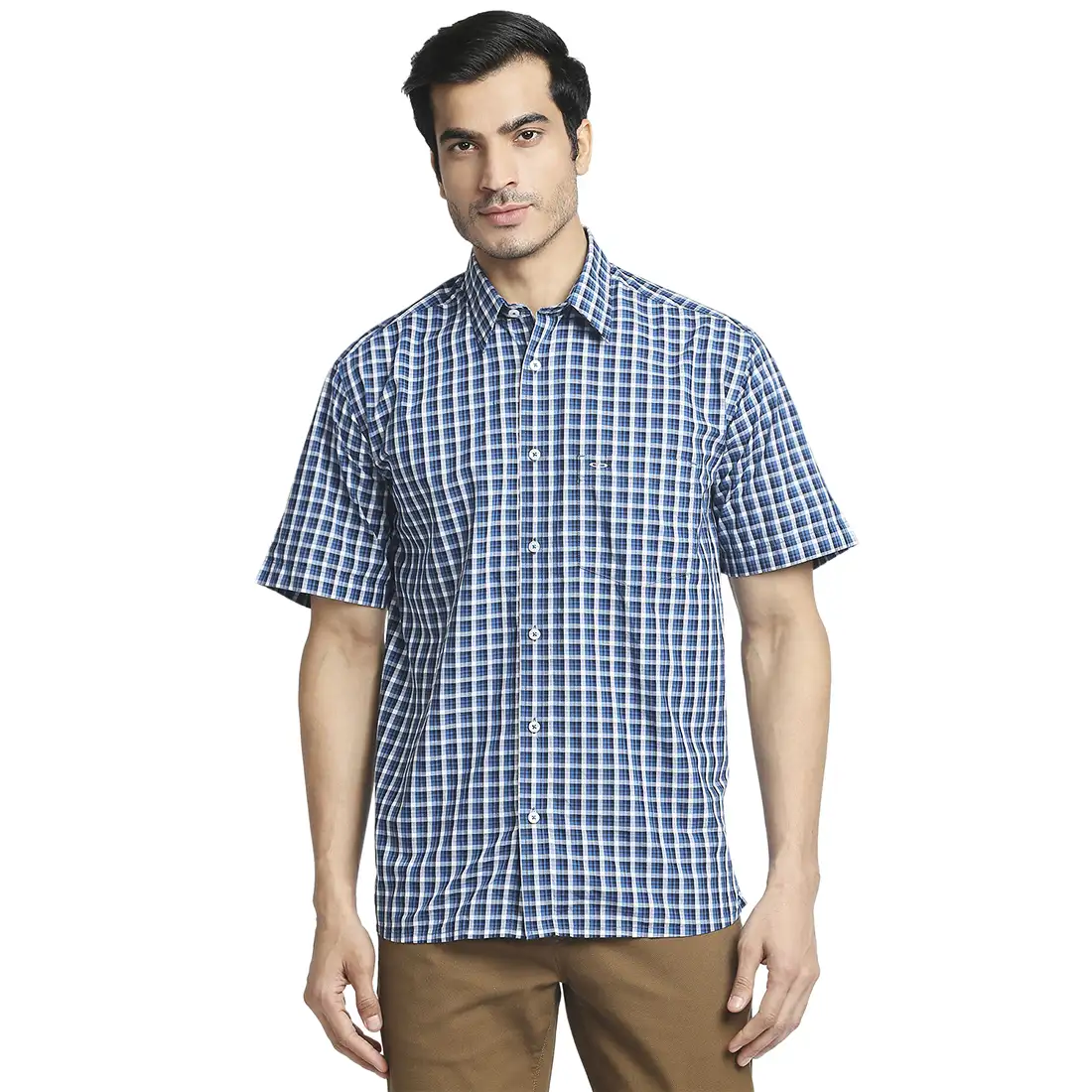 Men Blue Classic Fit Checks Cotton Half Sleeve Shirts