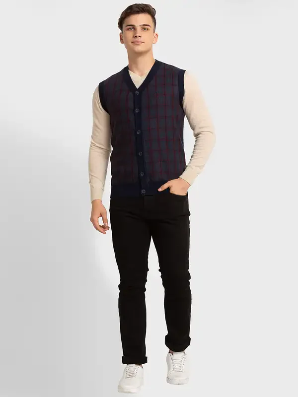 Colorplus Men Blue Classic Fit Checks V Neck Collar Sweater - Image 5