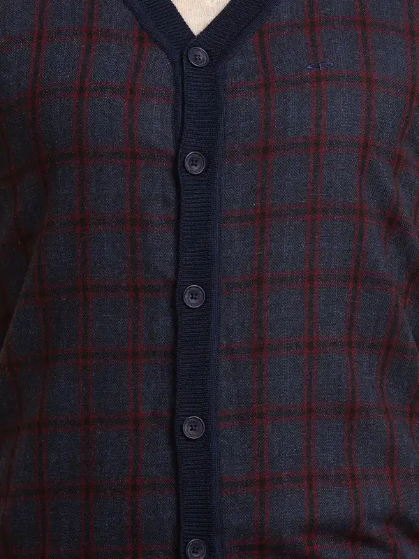 Colorplus Men Blue Classic Fit Checks V Neck Collar Sweater - Image 7