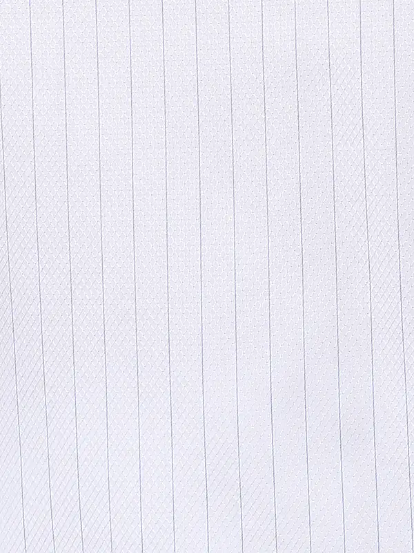 Men Blue Contemporary Fit Stripe Cotton Shirts - Image 7