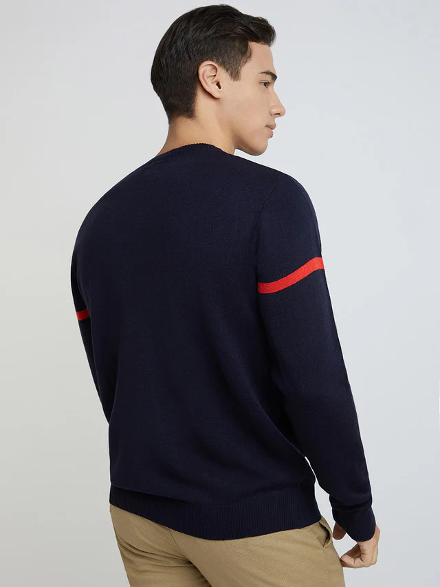 Raymond Men Blue Jacquard Round Neck Collar Sweater - Image 4