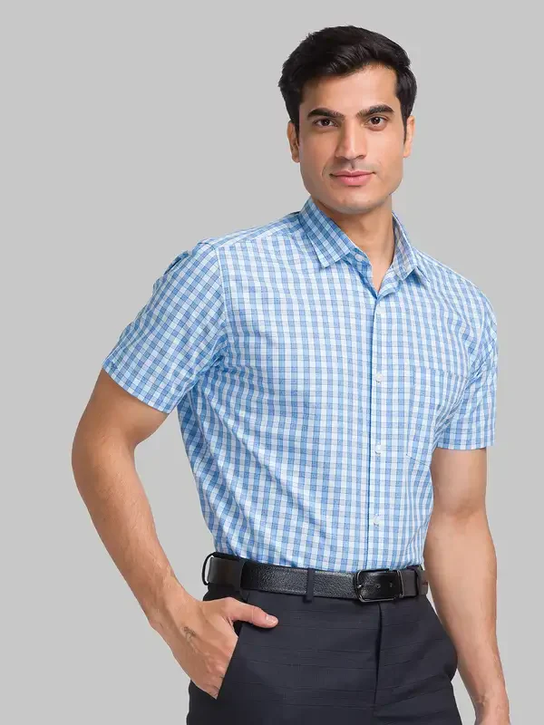 Men Blue Regular Fit Checks Cotton Half Sleeve Shirts - Image 2