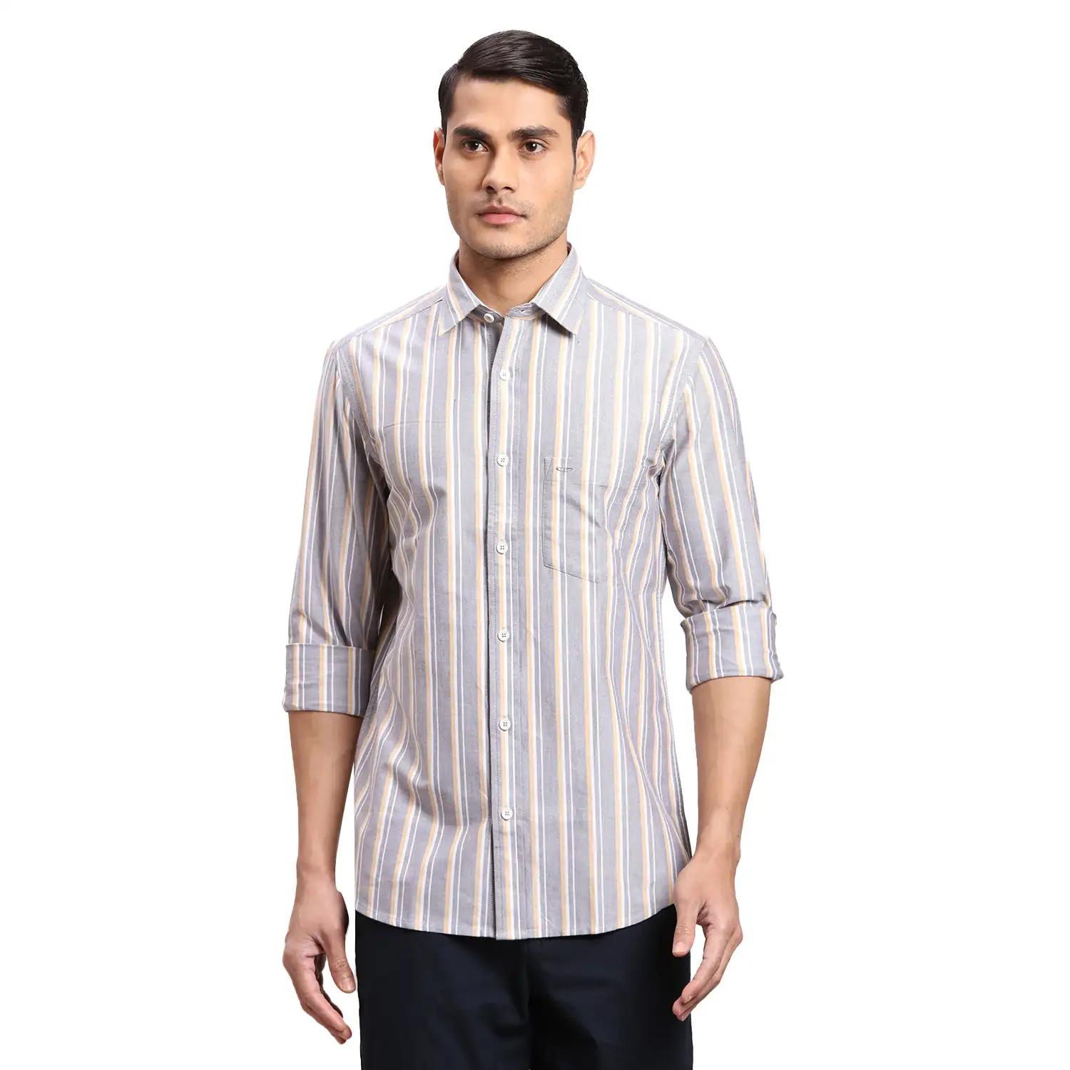 Men Blue Regular Fit Stripe Cotton Full Sleeves Shirts