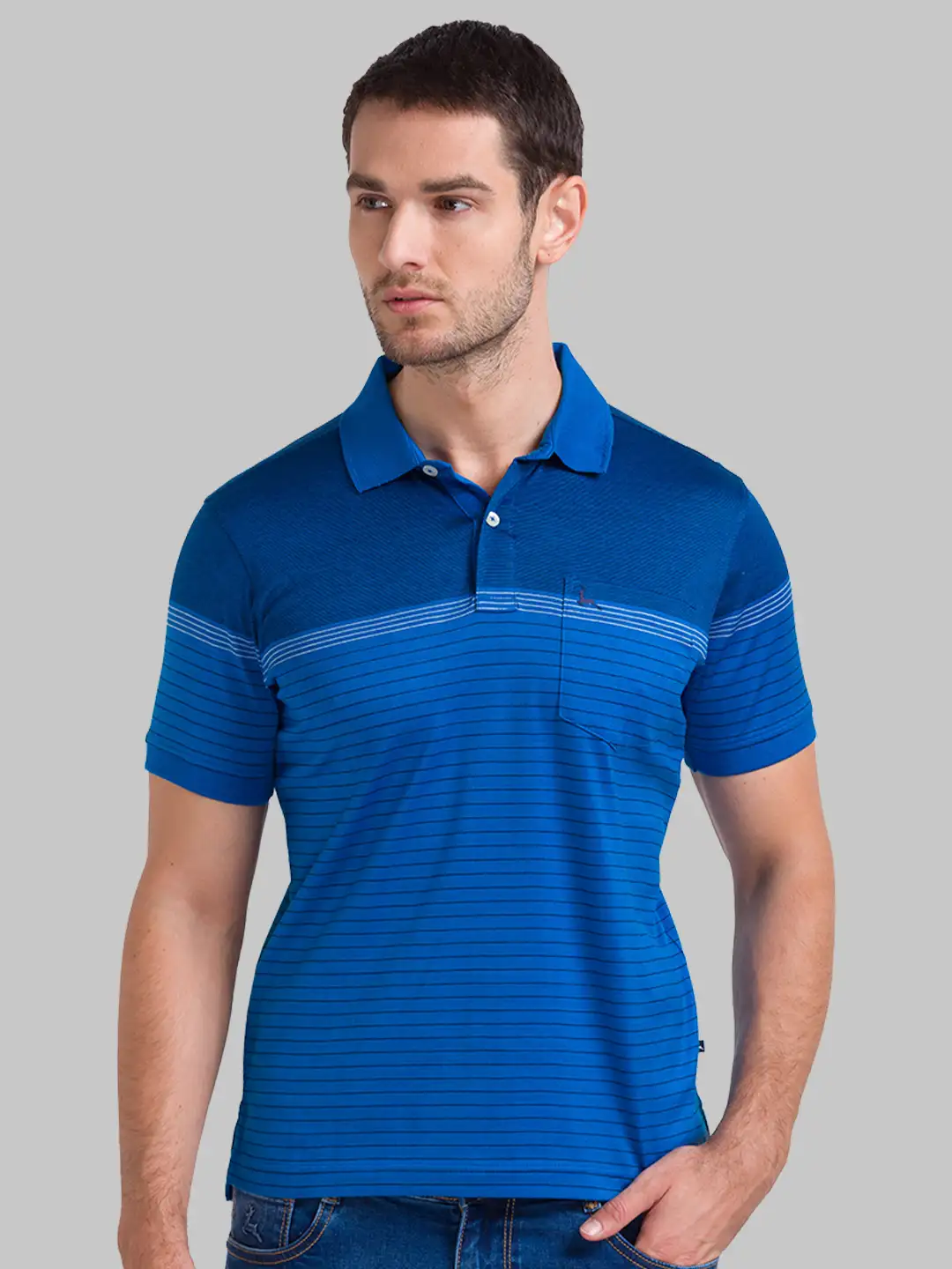Men Blue Regular Fit Yarn Dyed Cotton Round Neck Collar Polo T-Shirt