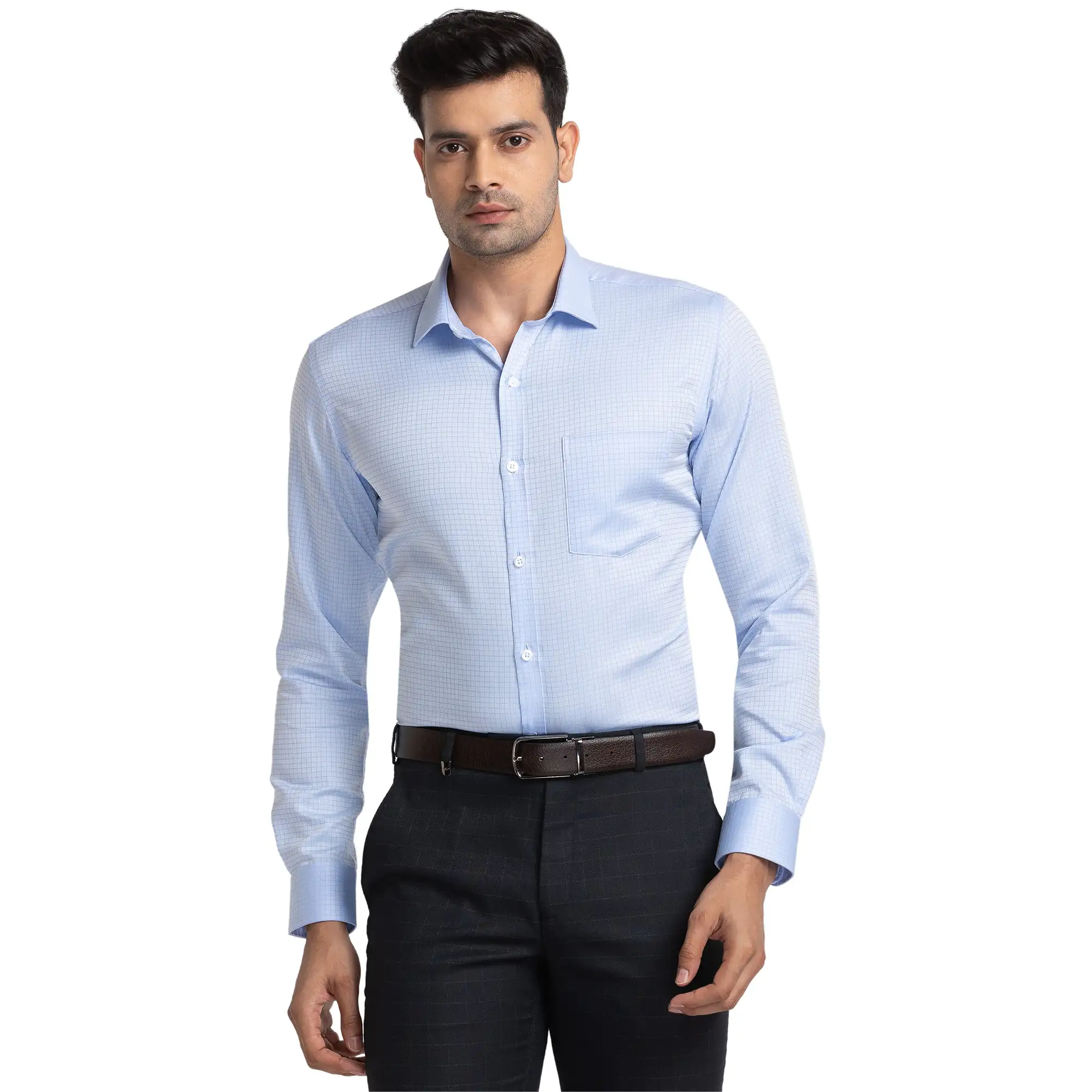 Park Avenue Men Blue Slim Fit Structured Cotton Formal Shirt