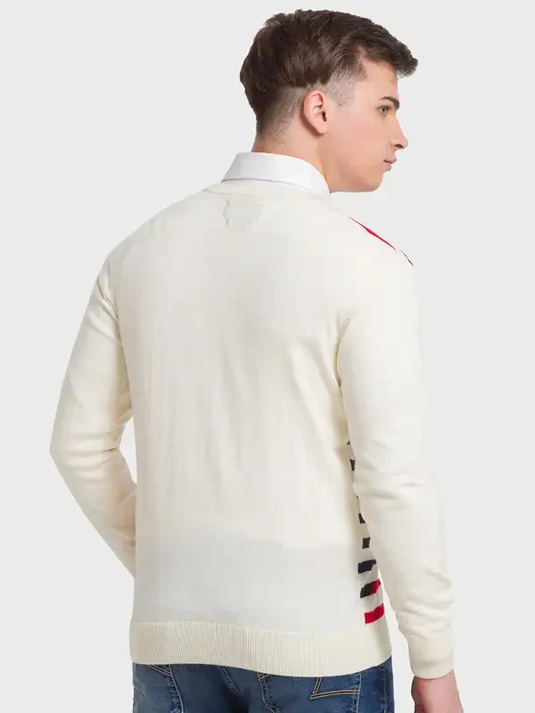 Men Blue Tailored Fit Stripe Acrylic Merino Blend Full Sleeve V Neck Collar Sweaters - Image 4
