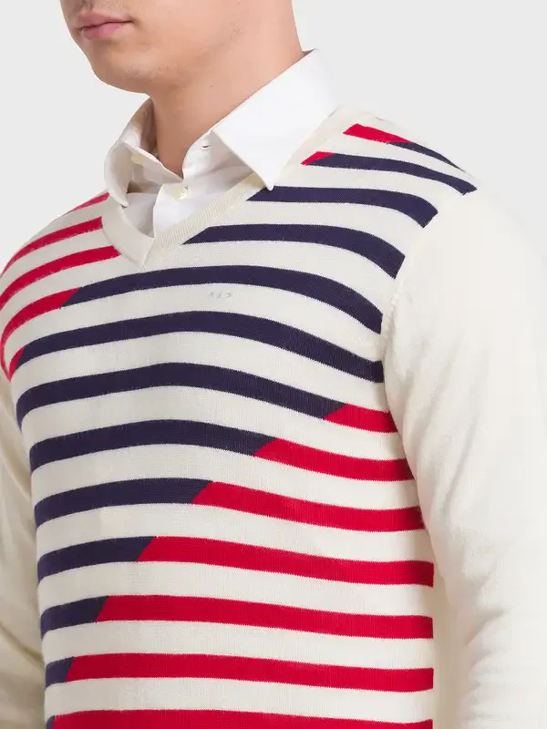 Men Blue Tailored Fit Stripe Acrylic Merino Blend Full Sleeve V Neck Collar Sweaters - Image 6