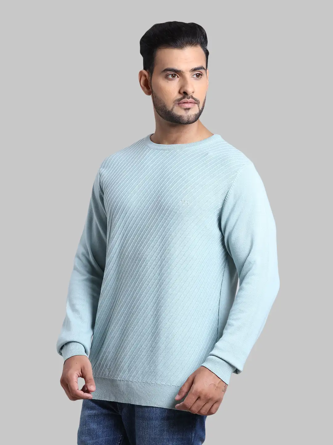 Men Blue Tailored Fit Structure Cotton Full Sleeve Round Collar Sweaters - Image 3