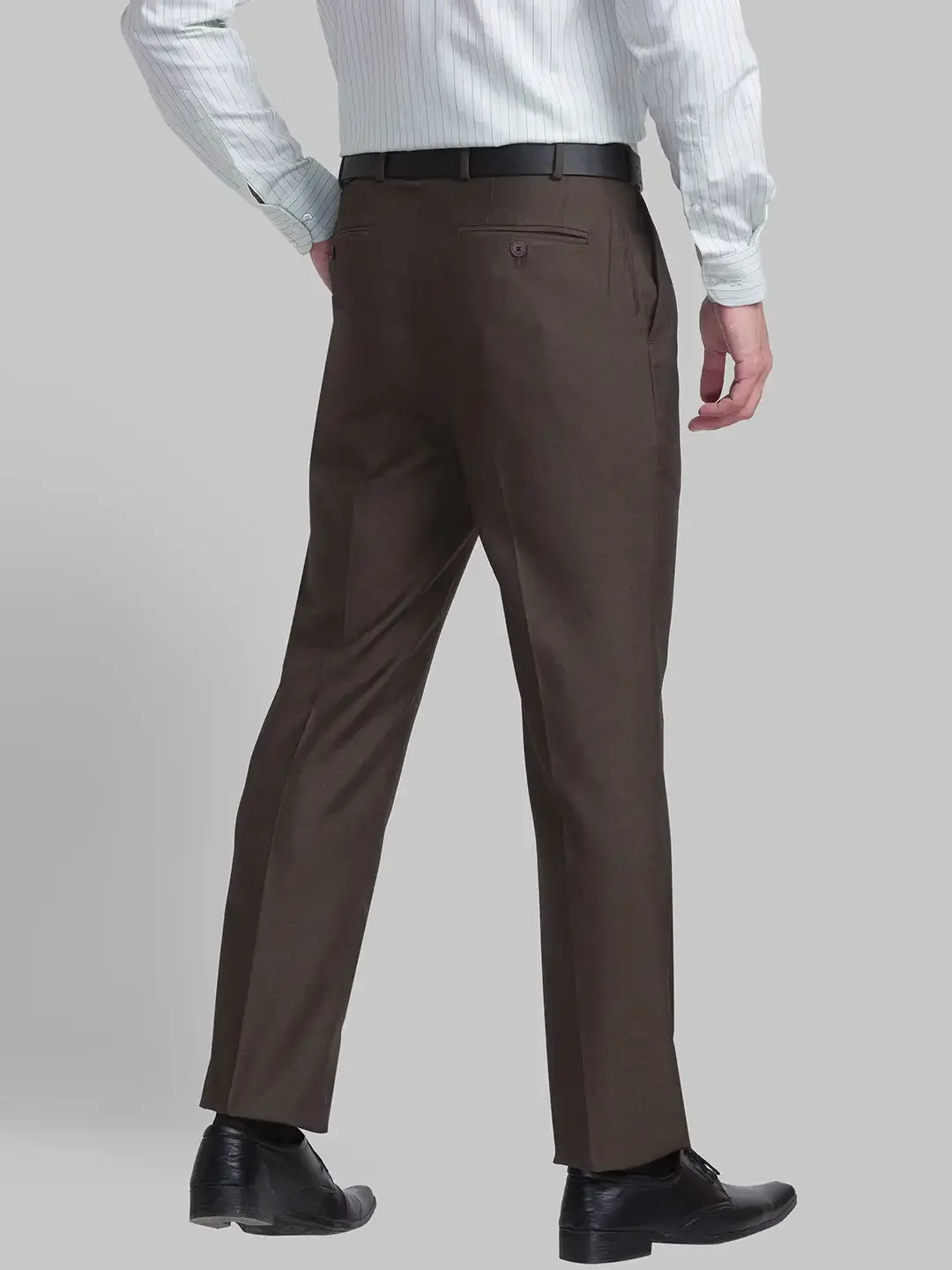 Men Brown Classic Fit Solid Polyester Blend Trouser - Image 4