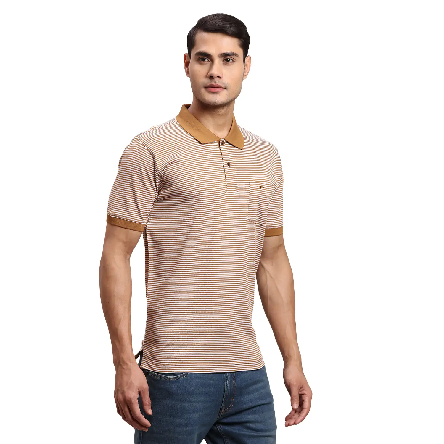 Men Brown Regular Fit Stripe Cotton Half Sleeve T-Shirt - Image 2