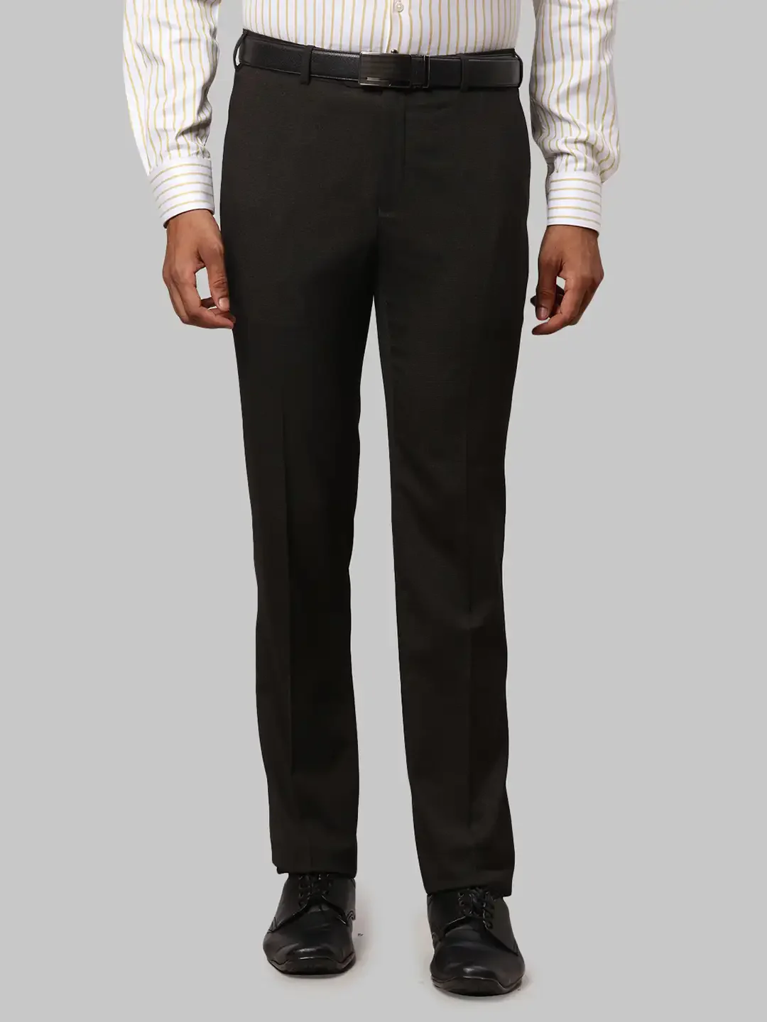 Men Brown Slim Fit Structure Polyester Blend Trouser