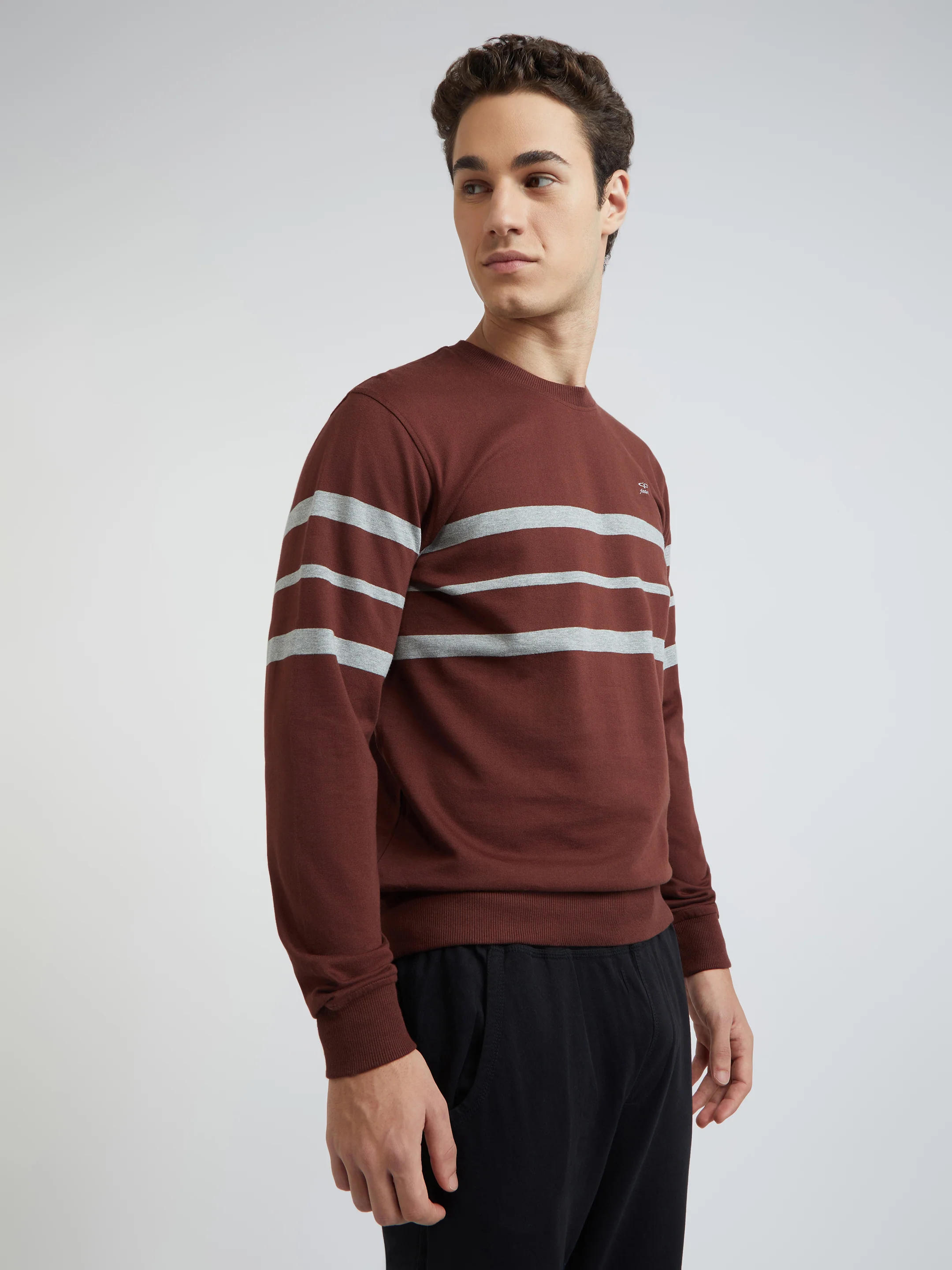 Men Brown Tailored Fit Stripe Cotton Full Sleeve Round Collar Sweatshirts - Image 2