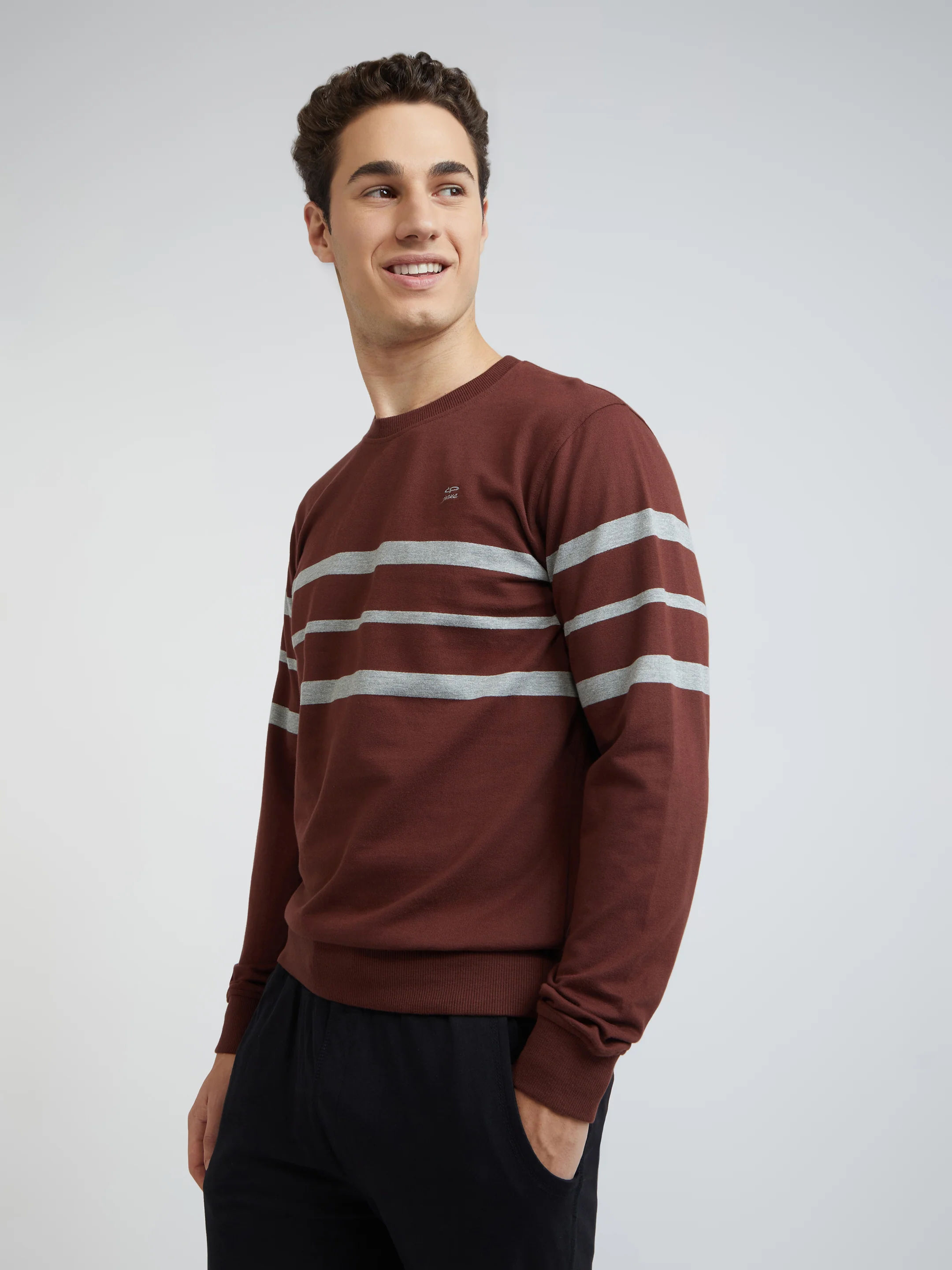 Men Brown Tailored Fit Stripe Cotton Full Sleeve Round Collar Sweatshirts - Image 3