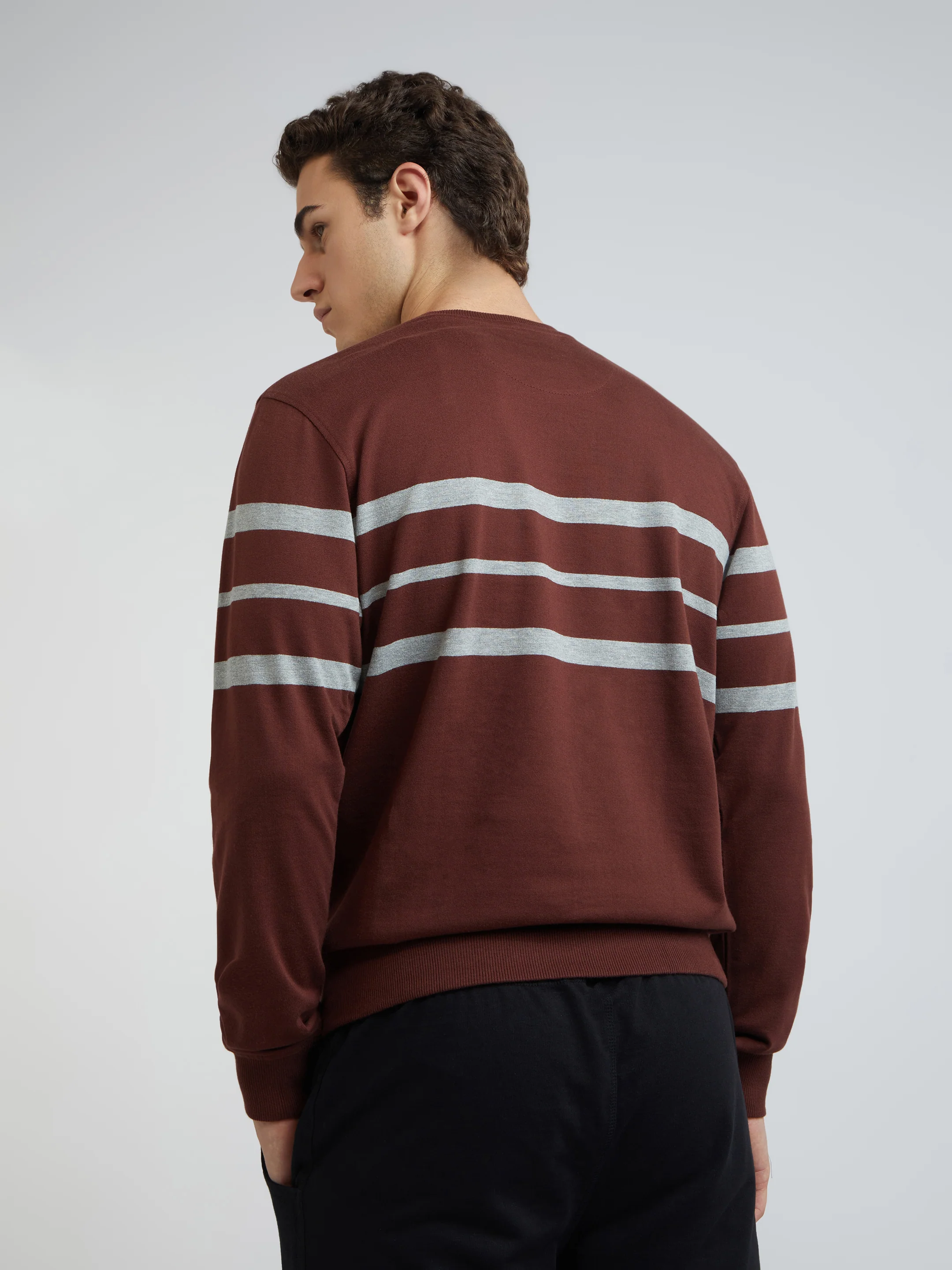 Men Brown Tailored Fit Stripe Cotton Full Sleeve Round Collar Sweatshirts - Image 4