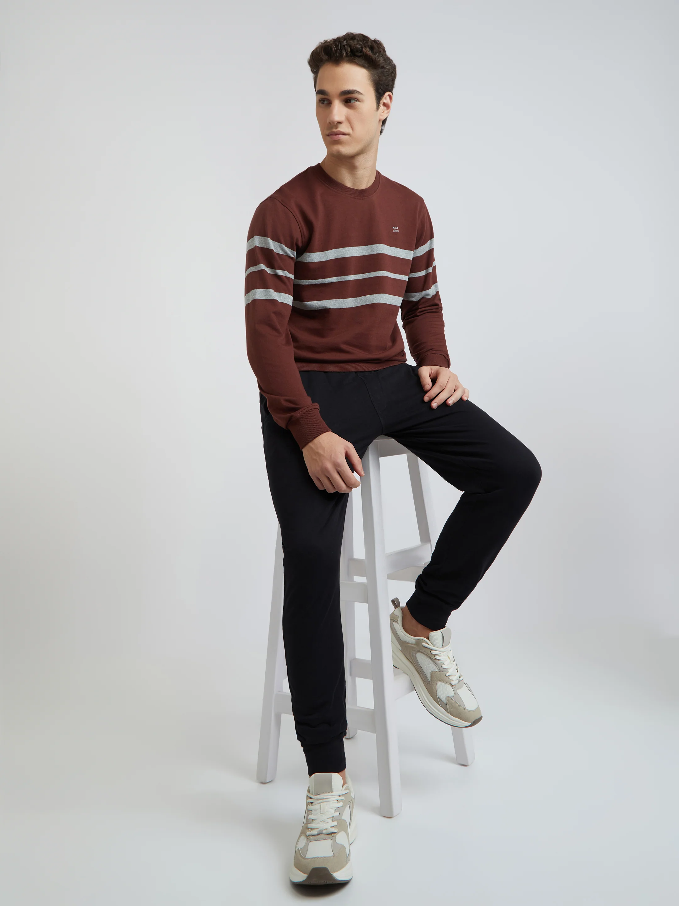Men Brown Tailored Fit Stripe Cotton Full Sleeve Round Collar Sweatshirts - Image 5