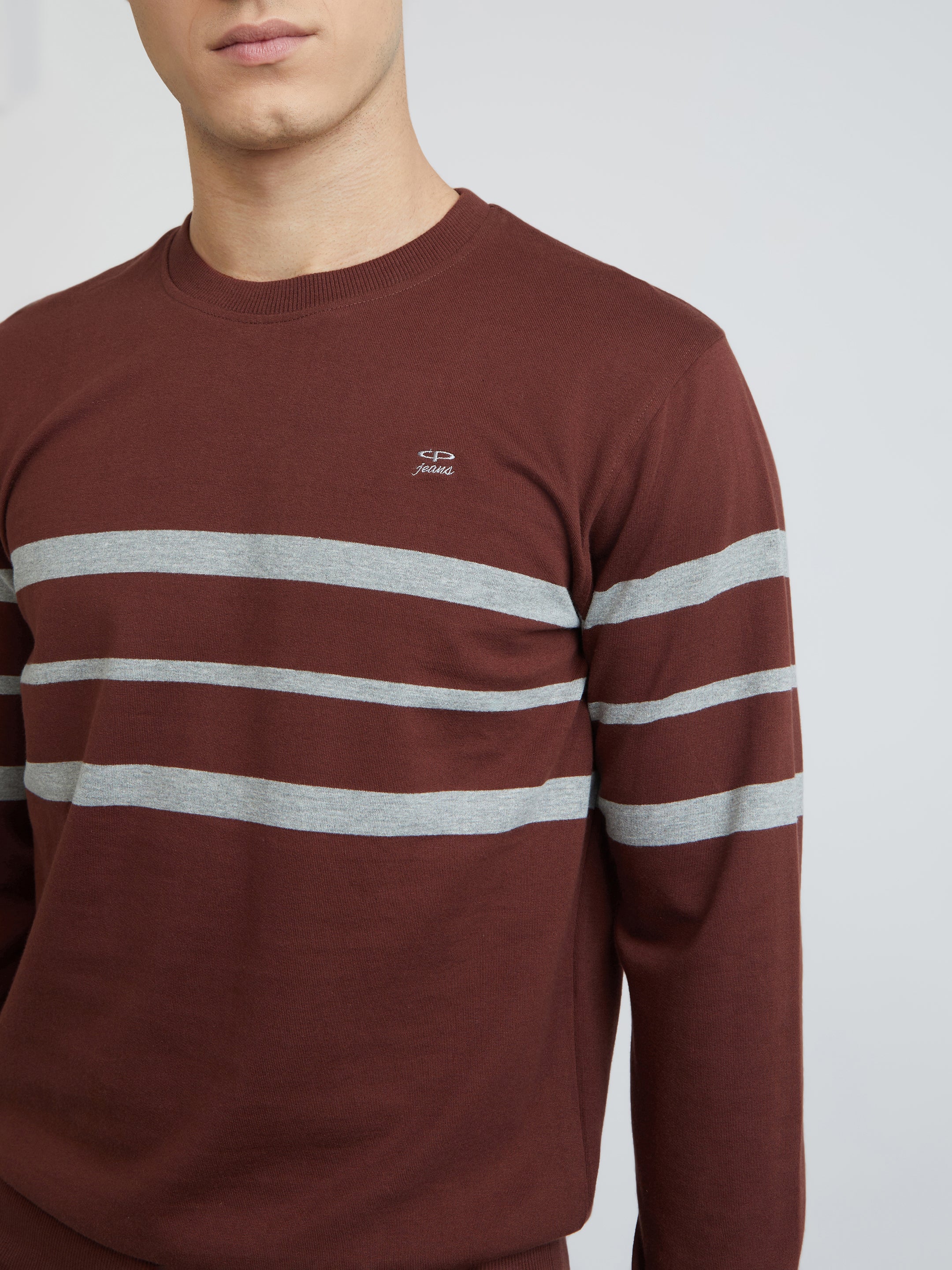 Men Brown Tailored Fit Stripe Cotton Full Sleeve Round Collar Sweatshirts - Image 6