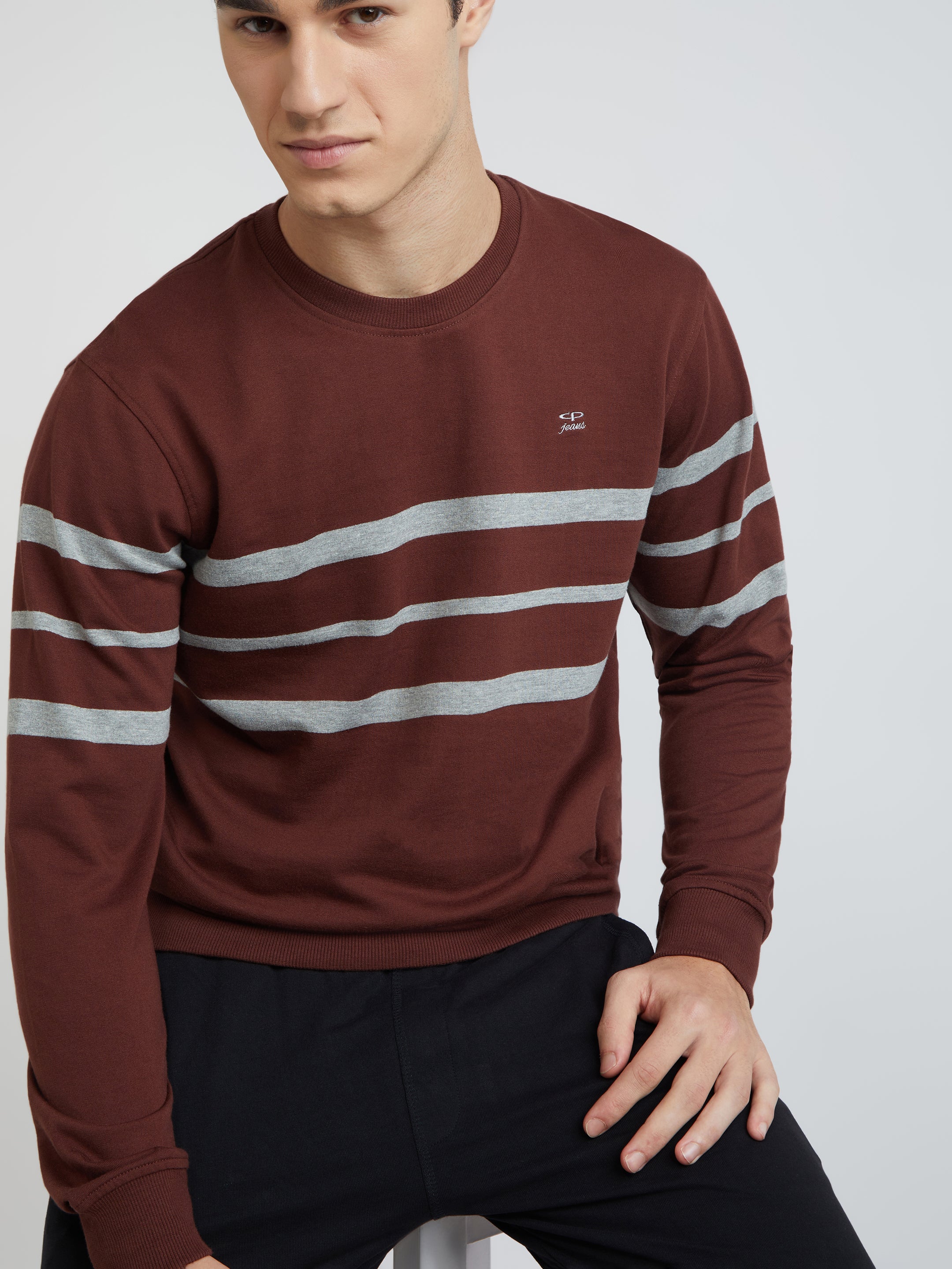 Men Brown Tailored Fit Stripe Cotton Full Sleeve Round Collar Sweatshirts - Image 7