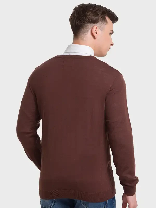 Men Brown Tailored Fit Structure Acrylic Merino Blend Full Sleeve V Neck Collar Sweaters - Image 4