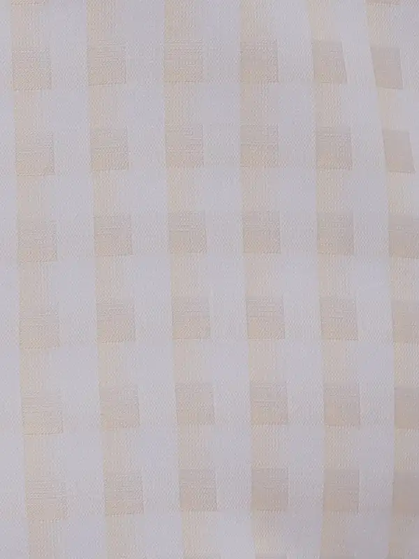 Park Avenue Men Brown Checks Regular Fit Cotton Formal Shirt - Image 7