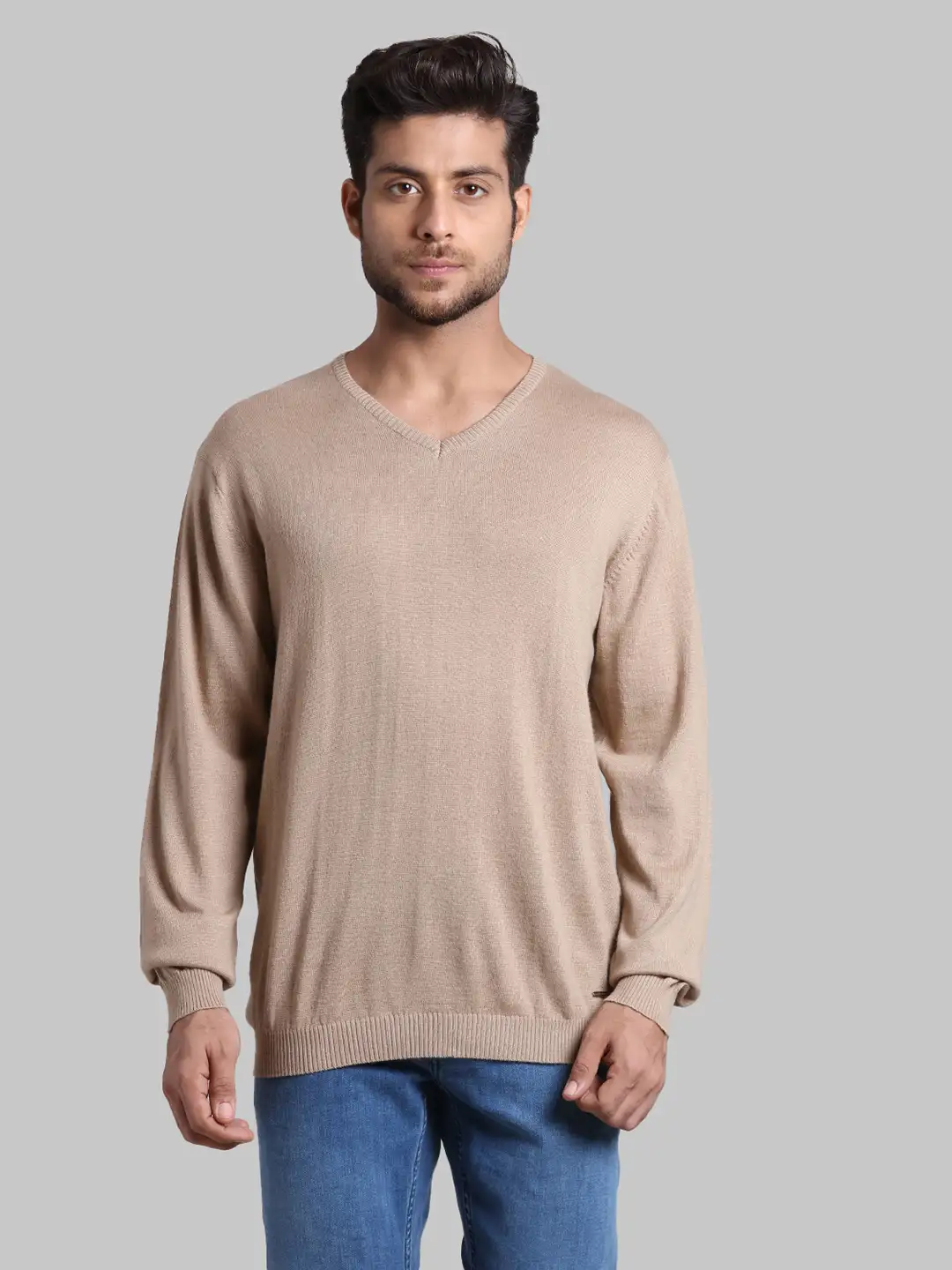 Men Fawn Regular Fit Solid Wool Blend Full Sleeve V Neck Collar Sweaters