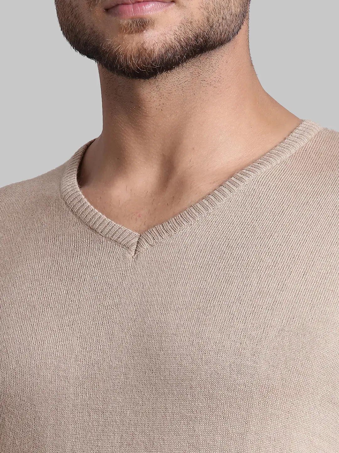 Men Fawn Regular Fit Solid Wool Blend Full Sleeve V Neck Collar Sweaters - Image 6