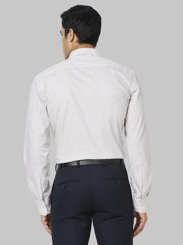 Park Avenue Men Brown Striped Slim Fit Cotton Formal Shirt - Image 4