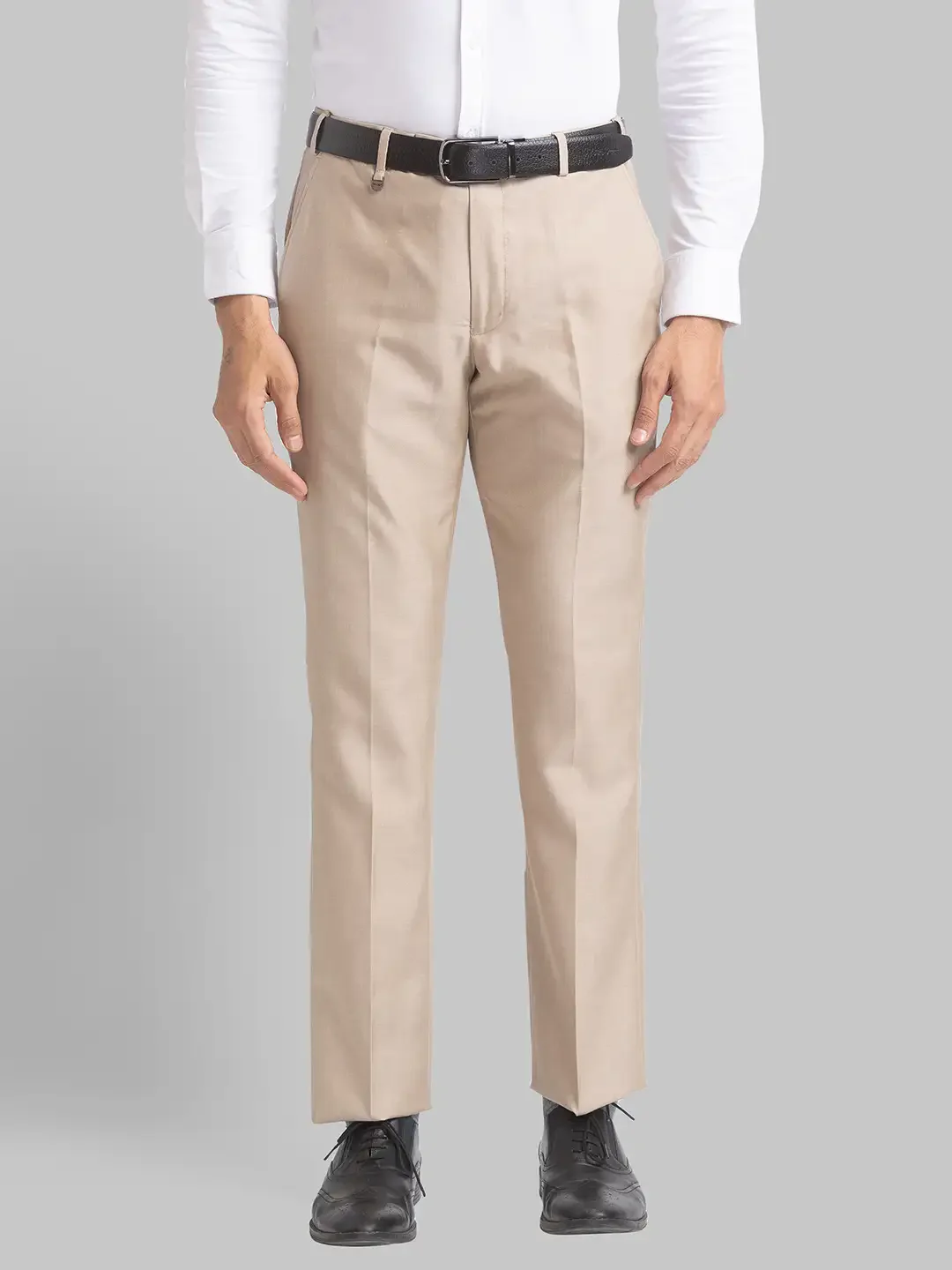 Men Fawn Smart Fit Solid Polyester Blend Trouser