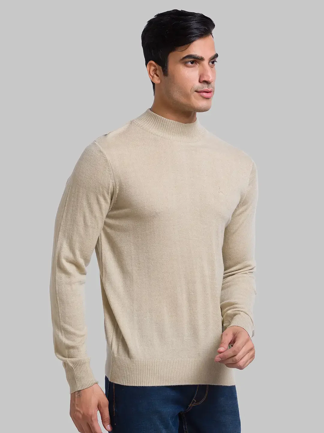 Men Fawn Solid Acrylic Wool Blend Full Sleeve Sweaters - Image 2