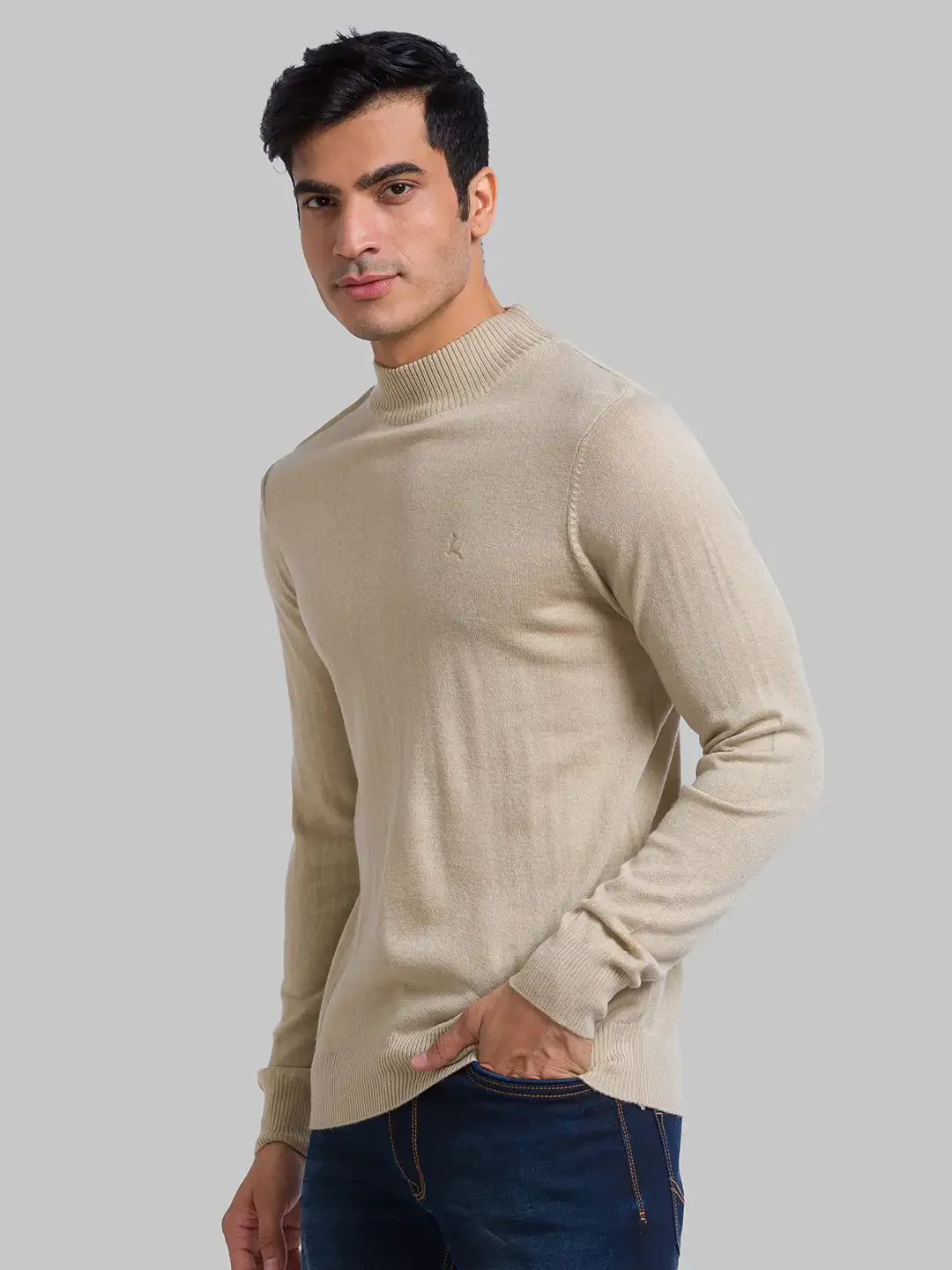 Men Fawn Solid Acrylic Wool Blend Full Sleeve Sweaters - Image 3