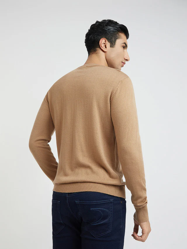 Men Fawn Structure Cable Acrylic Wool Blend Round Collar Sweaters - Image 4