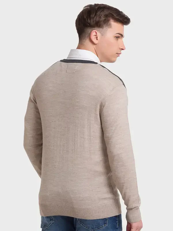 Men Fawn Tailored Fit Jacquard Acrylic Merino Blend Full Sleeve V Neck Collar Sweaters - Image 4
