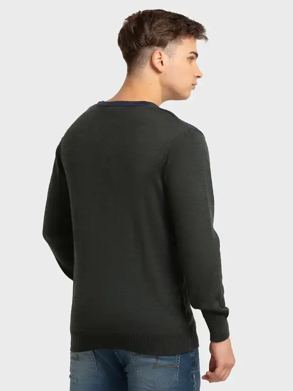 Men Fawn Tailored Fit Jacquard Merino Wool Acrylic Blend Full Sleeve V Neck Collar Sweaters - Image 4