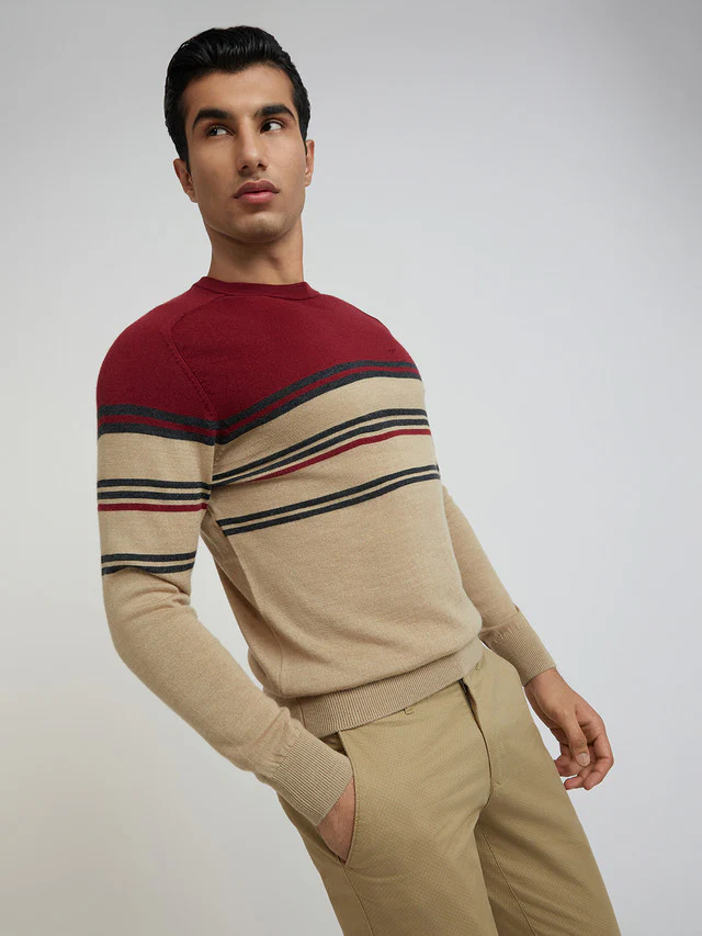 Men Fawn Tailored Fit Stripe Merino Wool Acrylic Blend Full Sleeve V Neck Collar Sweaters - Image 2
