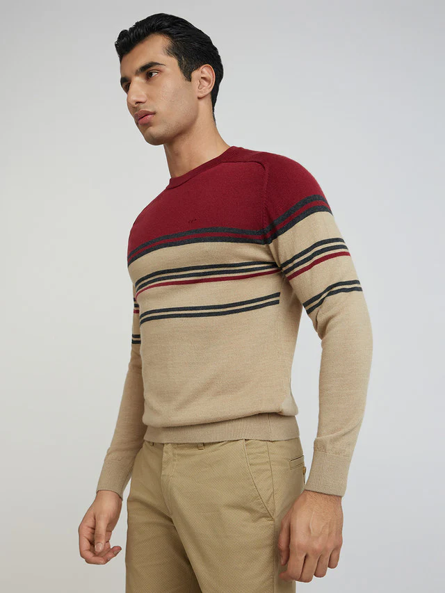 Men Fawn Tailored Fit Stripe Merino Wool Acrylic Blend Full Sleeve V Neck Collar Sweaters - Image 3