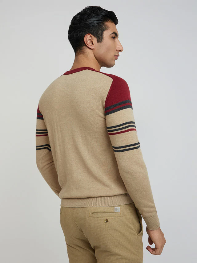 Men Fawn Tailored Fit Stripe Merino Wool Acrylic Blend Full Sleeve V Neck Collar Sweaters - Image 4