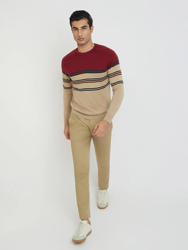 Men Fawn Tailored Fit Stripe Merino Wool Acrylic Blend Full Sleeve V Neck Collar Sweaters - Image 5